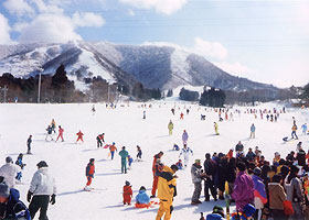Miyagi Zao Shichikashuku Ski Resort
