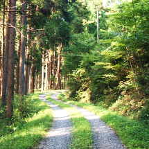 Shigakogen Hiking Course