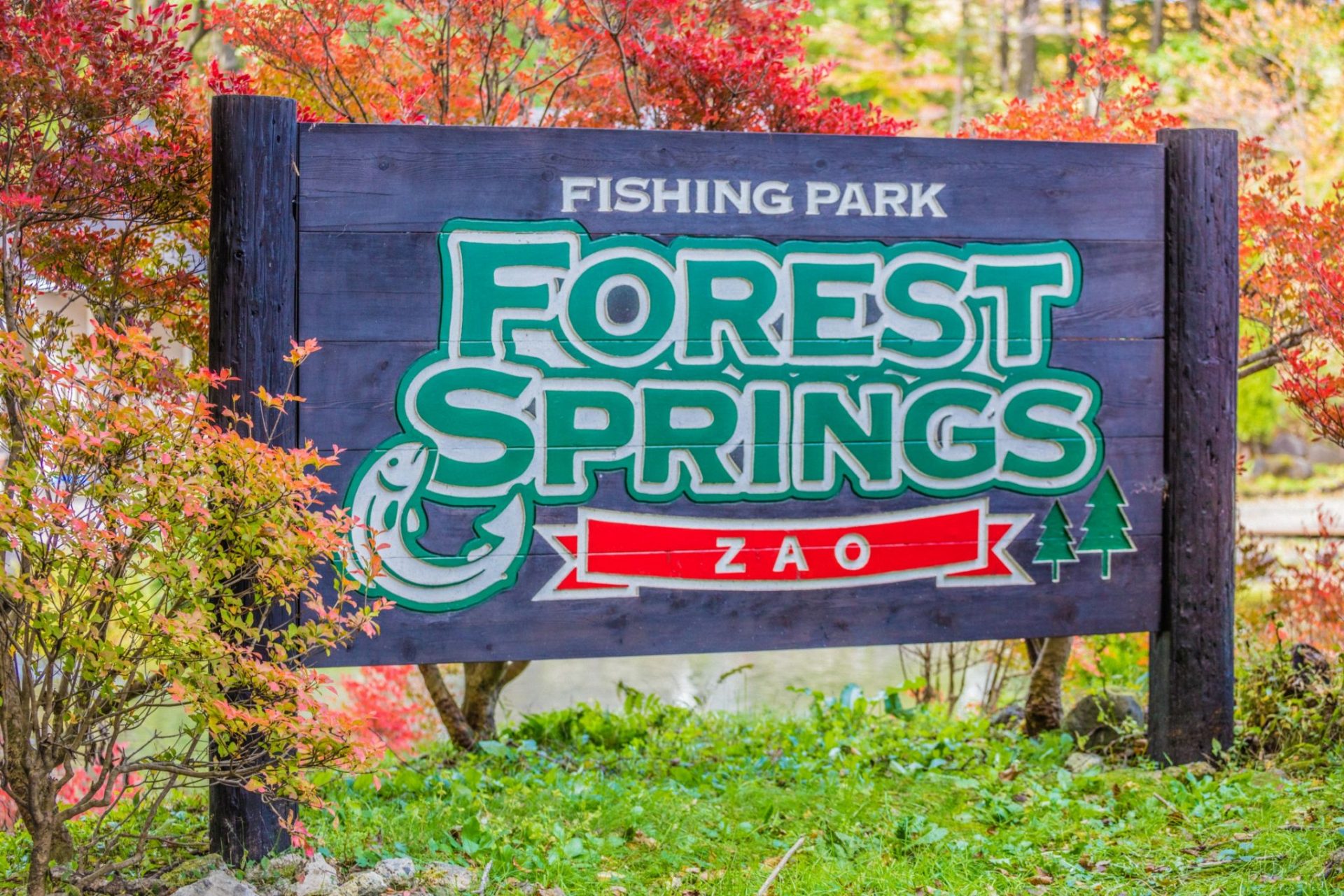 Zao Forest Springs