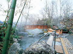 Shikisai（Inside Ogawara Natural hot springs Iiyu）