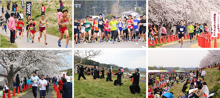 Shibata Sakura Marathon